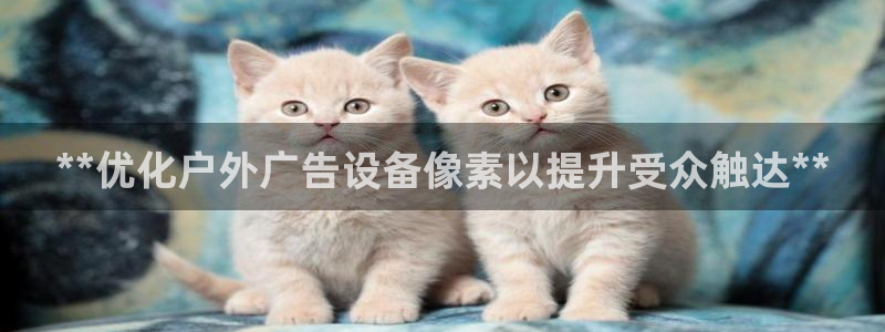 杏宇平台主管：**优化户外广告设备像素以提升受众触达**