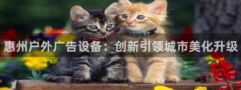 杏宇平台客服：惠州户外广告设备：创新引领城市美化升级