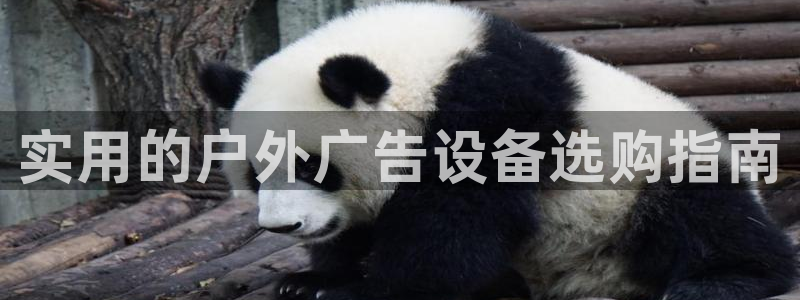 杏宇平台主管：实用的户外广告设备选购指南