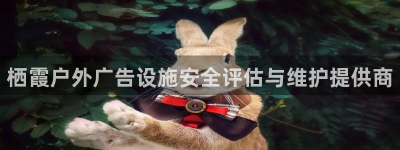 杏宇平台代理怎么样啊：栖霞户外广告设施安全评估与维护提供商