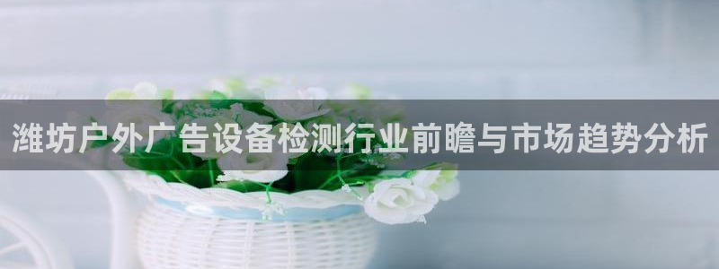 杏宇平台好吗：潍坊户外广告设备检测行业前