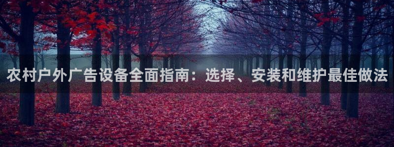 杏宇平台怎么样：农村户外广告设备全面指南