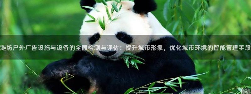 杏宇平台招商怎么样：潍坊户外广告设施与设
